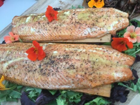 fish fillets