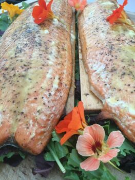 fish fillets