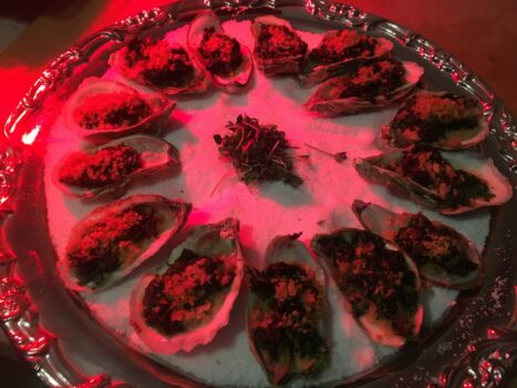 hors d'oeuvres on oyster shells