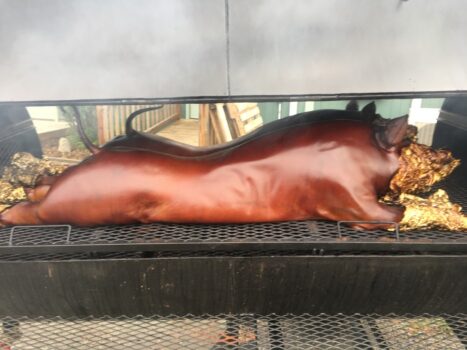 roasted pig